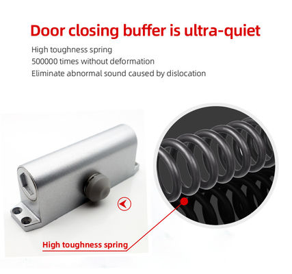 Capacité de charge de 45-65 kg Fermeture automatique de porte en aluminium à 2 vitesses et consommation