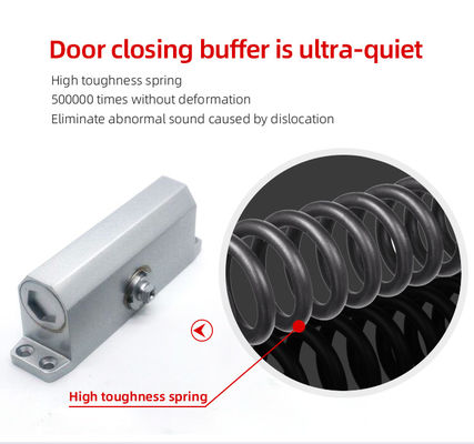 Ferme-porte hydraulique en aluminium robuste 60KG vitesse réglable